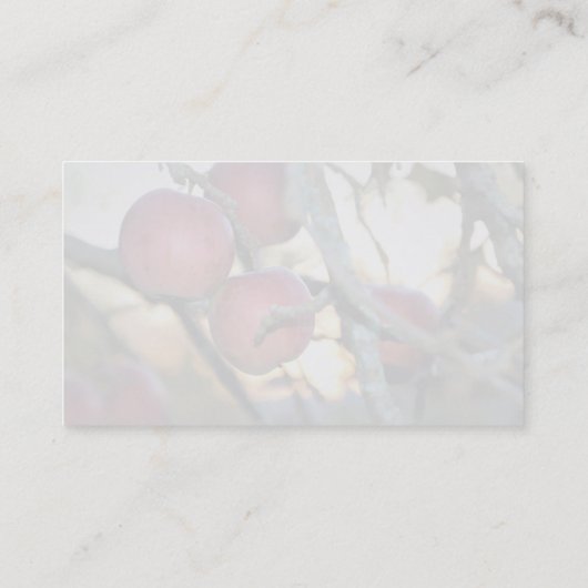 Artist/Photographer/Digital Art 名刺 (裏面)