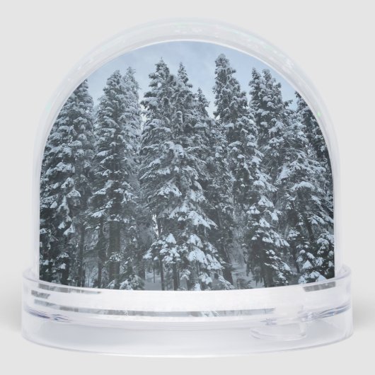 Artistic Christmas Tree Scene Snow Globe (裏面)