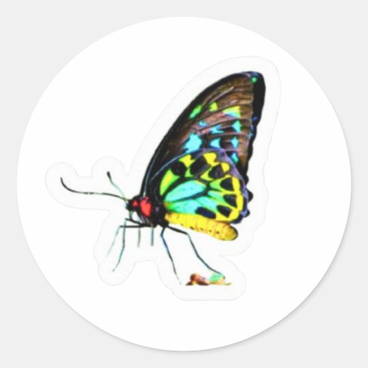 Artistic Neon Profile Butterfly Sticker - Unique S ラウンドシール (正面)