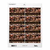 Artistic Roasted Coffee Beans Business Card ラベル (フルシート)