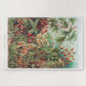 Artistic Vintage Illustration Nature Ernst Haeckel ジグソーパズル (横)