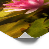 Artistic water lilies, California ポスター (角)