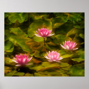 Artistic water lilies, California ポスター