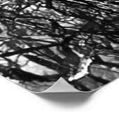 Artsy Black and White Tree Modern ポスター (角)