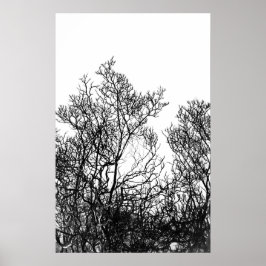 Artsy Black and White Tree Modern ポスター