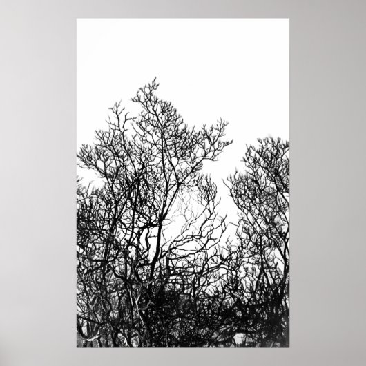Artsy Black and White Tree Modern ポスター (正面)