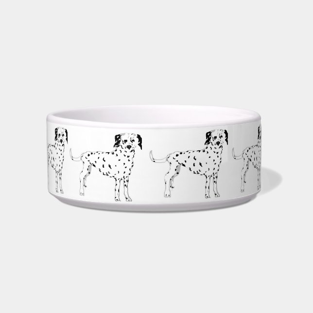 Artworksby_Sarr752 ボウル (正面)