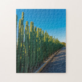 Aruba cactus fence ジグソーパズル