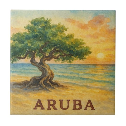 Aruba Eagle Beach Divi Tree Golden Hour タイル (正面)