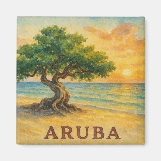 Aruba Eagle Beach Divi Tree Golden Hour マグネット (正面)