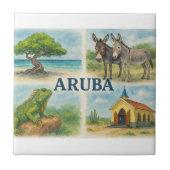 Aruba multiview watercolor タイル (正面)