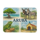 Aruba multiview watercolor マグネット (横)