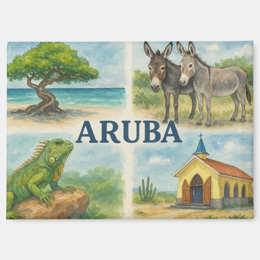 Aruba multiview watercolor マグネット (正面)