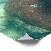 Aruba Underwater photo of Fish ポスター (角)