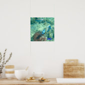 Aruba Underwater photo of Fish ポスター (キッチン)