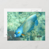Aruba Underwater photo of Fish ポストカード (正面/裏面)