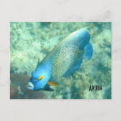 Aruba Underwater photo of Fish ポストカード (正面)