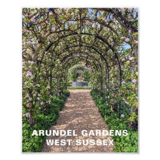 Arundel Gardens in Spring Time, West Sussex Photo フォトプリント (正面)