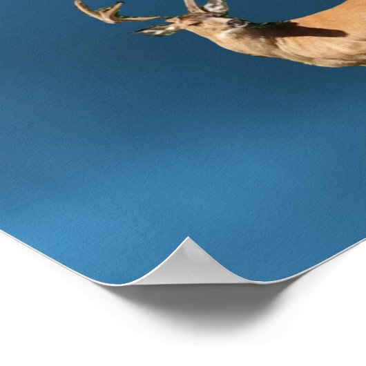 As the Deer Pants for Water Psalm Poster ポスター (角)