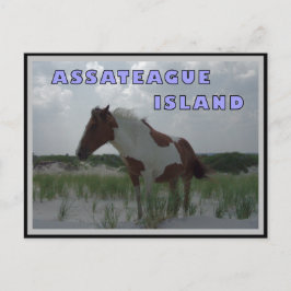Asasteagueワイルドウマ2ポストカード ポストカード