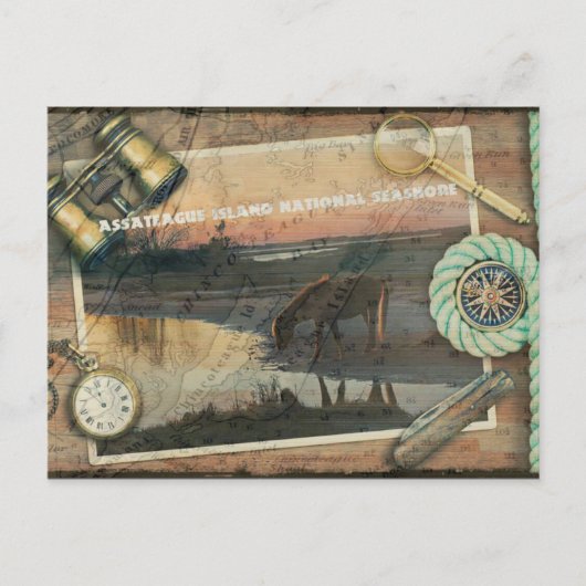 Asasteague/Chincoteagueはがき ポストカード (正面)