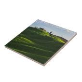 Asciano、タスカニーの近くの圧延の丘 タイル (側面)