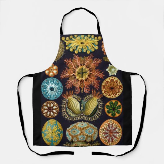 Ascidiae by Ernst Haeckel, Marine Animals エプロン (正面)