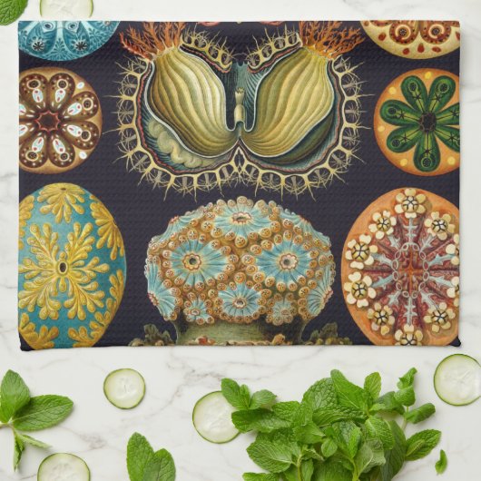 Ascidiae by Ernst Haeckel, Marine Animals キッチンタオル (折り畳み)