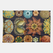 Ascidiae by Ernst Haeckel, Marine Animals キッチンタオル (横)