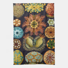 Ascidiae by Ernst Haeckel, Marine Animals キッチンタオル
