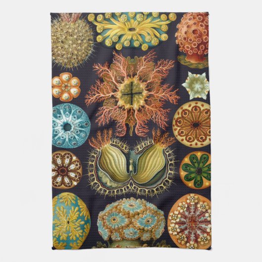 Ascidiae by Ernst Haeckel, Marine Animals キッチンタオル (縦)