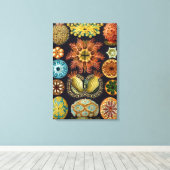 Ascidiae by Ernst Haeckel, Marine Animals キャンバスプリント (インサイチュ (ウッドフロア))