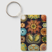 Ascidiae by Ernst Haeckel, Marine Animals キーホルダー (正面)