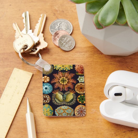 Ascidiae by Ernst Haeckel, Marine Animals キーホルダー (デスク)