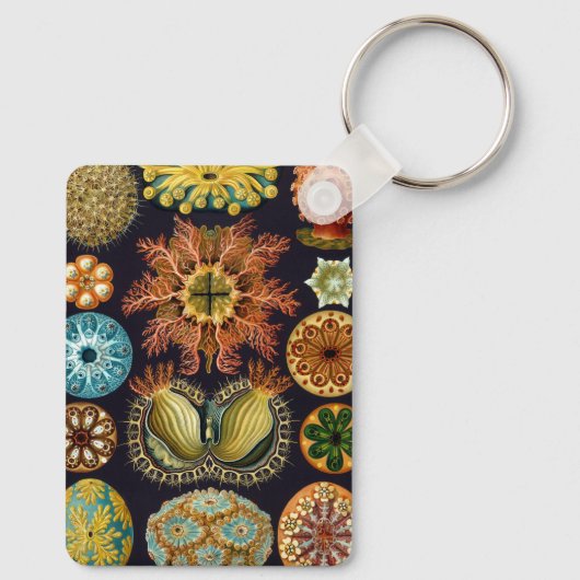 Ascidiae by Ernst Haeckel, Marine Animals キーホルダー (裏面)