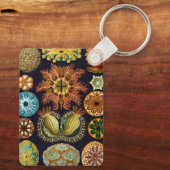 Ascidiae by Ernst Haeckel, Marine Animals キーホルダー (裏面)