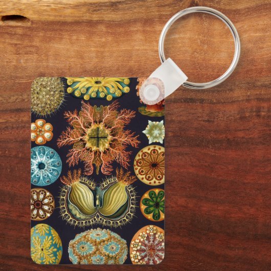 Ascidiae by Ernst Haeckel, Marine Animals キーホルダー (裏面)