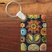 Ascidiae by Ernst Haeckel, Marine Animals キーホルダー (正面)