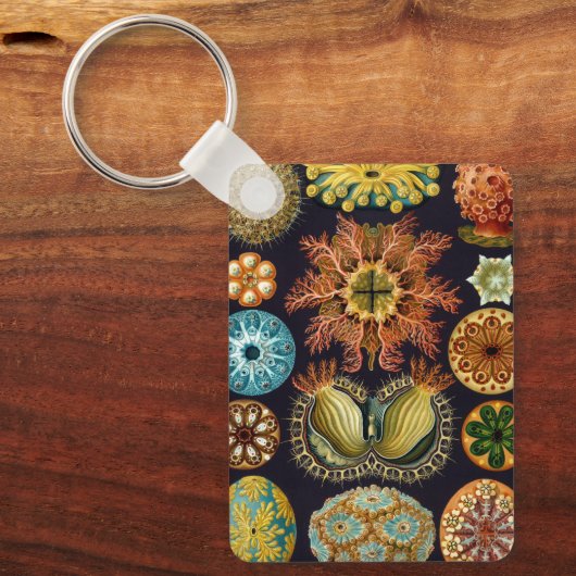 Ascidiae by Ernst Haeckel, Marine Animals キーホルダー (正面)