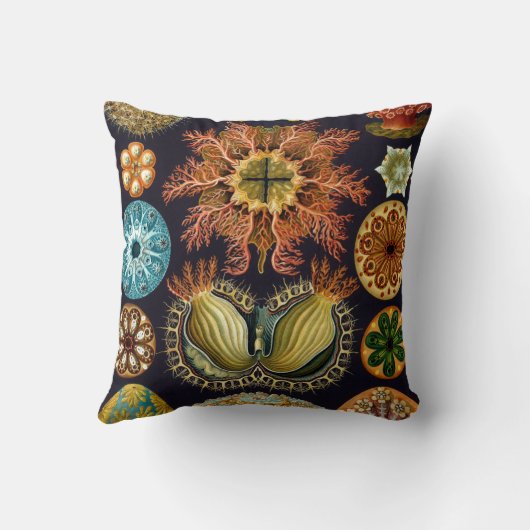 Ascidiae by Ernst Haeckel, Marine Animals クッション (裏面)