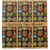 Ascidiae by Ernst Haeckel, Marine Animals シャワーカーテン (正面)