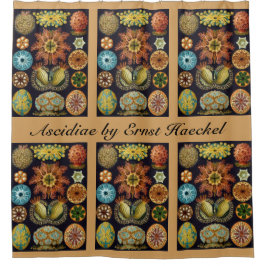Ascidiae by Ernst Haeckel, Marine Animals シャワーカーテン