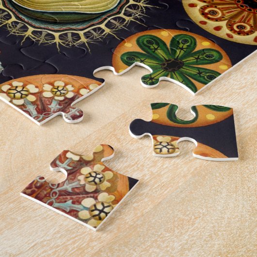 Ascidiae by Ernst Haeckel, Marine Animals ジグソーパズル (側面)