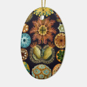 Ascidiae by Ernst Haeckel, Marine Animals セラミックオーナメント (左)