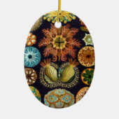 Ascidiae by Ernst Haeckel, Marine Animals セラミックオーナメント (正面)