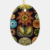 Ascidiae by Ernst Haeckel, Marine Animals セラミックオーナメント (裏面)