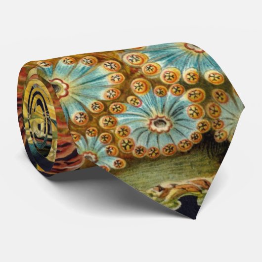 Ascidiae by Ernst Haeckel, Marine Animals ネクタイ (ロール)