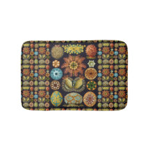 Ascidiae by Ernst Haeckel, Marine Animals