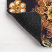 Ascidiae by Ernst Haeckel, Marine Animals マウスパッド (コーナー)