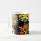 Ascidiae by Ernst Haeckel, Marine Animals マグカップ (正面左)